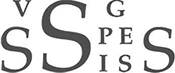 VSG VSG